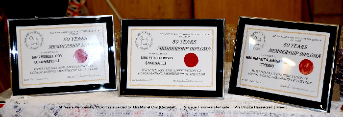 50 Years Diplomas Web