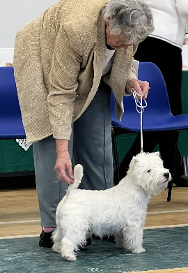 71a03d60-b849-4a4d-82da-ad90d159af98