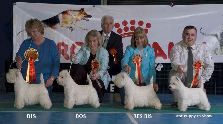 BIS Line Up2