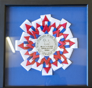BIS Rosette