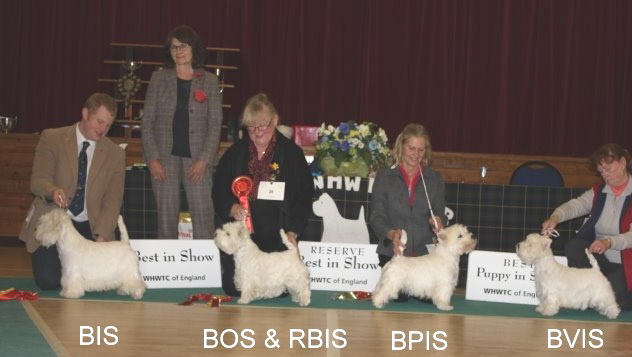 BIS2015