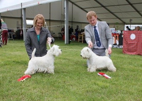 Best Dog & Reserve Best Dog-Best Puppy Dog