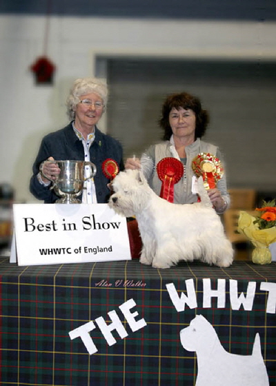 Best in Show - (New CH) Duskhunter Dutch Courage JW