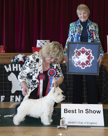 Best in Show -  STILL THE ONE I DREAM OF WHISPER DUSK BY BOCANS