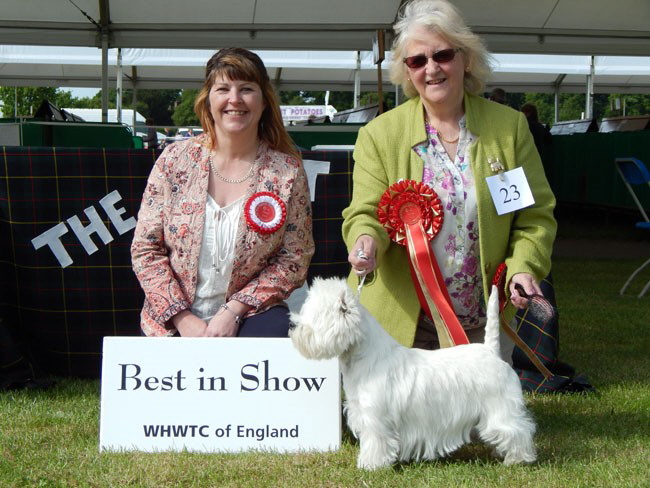 Best in Show