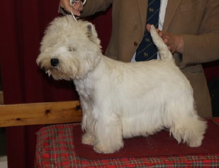 CHAMPION TOMLYNDON EAGER ERNEST2