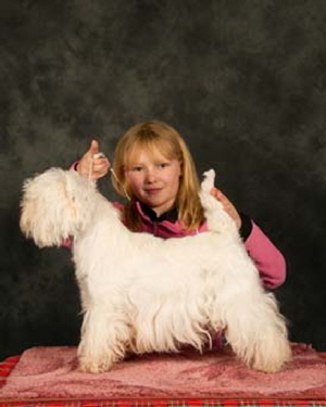 CHAMPION WISTONANT ROYAL RUBY AT GILBRI