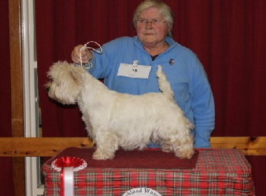 CRINAN CALISTA1