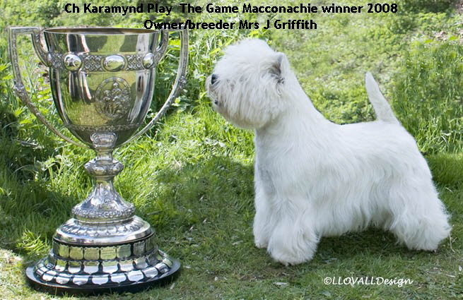 Ch Karamynd Play The Game with the Macconachie trophy