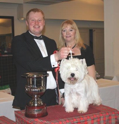 Dog of the Year 2015 - Ch Tomlyndon Eager Ernest JW