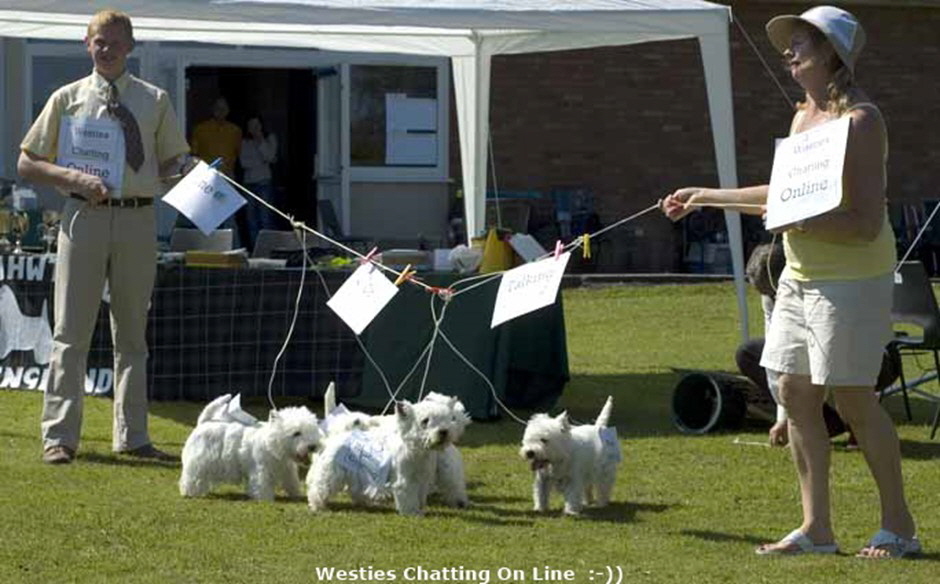 Fancy Dress Westie Chatters