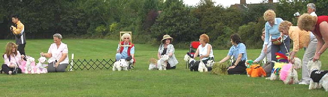 FancyDress1
