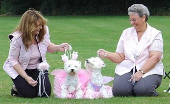 FancyDress5