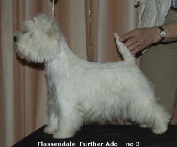 Flassendale Futher Ado