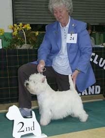 Inverglen Celtic Raider