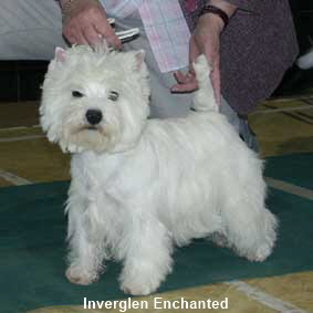 Inverglen Enchanted