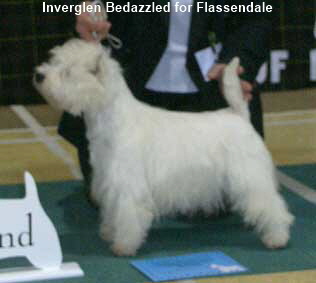 Inverglen bedazzled For Flassendale