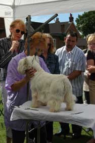 JennieGriffithsGrooming