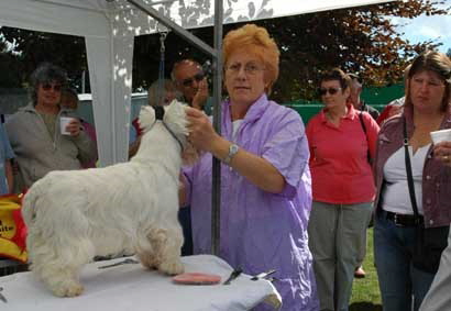 JennieGriffithsGrooming2