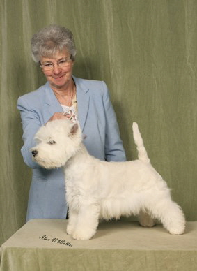 LINDENKA DONOVAN