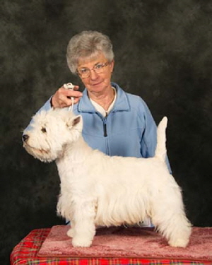 LINDENKA DONOVAN4