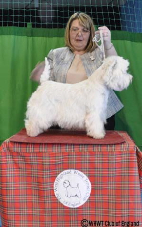 LINGBECK LEADING LADY6