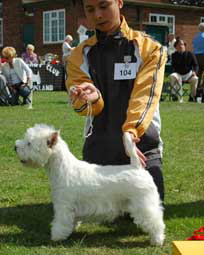 Lamsmore Neave