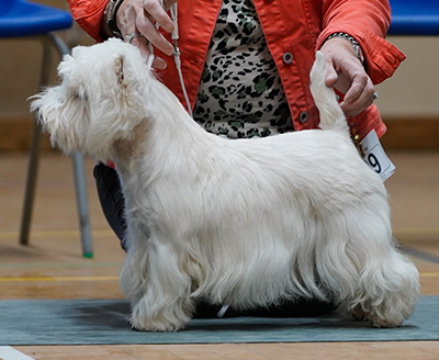 Limit Bitch, RBCC Winner (31) - Show 1