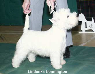 Lindenka Bennington1