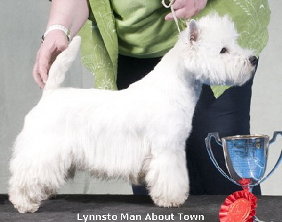 Lynnsto Man About Town2