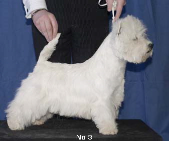 Markstown Made To Measure