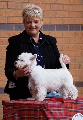 Minor Puppy Bitch Winner (42 & 39) - Show 1 & 2