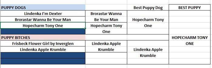 POTY Competition2015