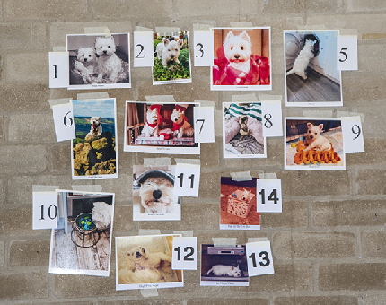 Photo competition1