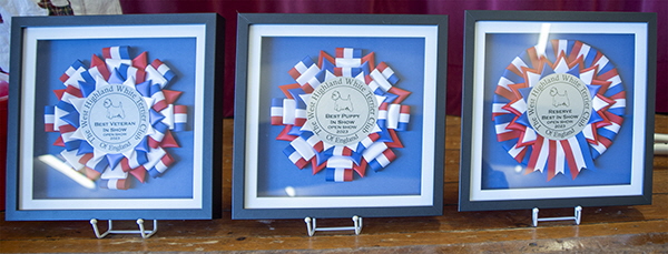 Rosettes