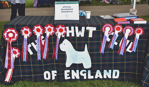 Rosettes1