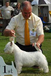 Silver Senorita at Pedrohay