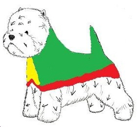 The Chest area The Chest area