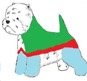 The Legs (blue area) The Legs (blue area)