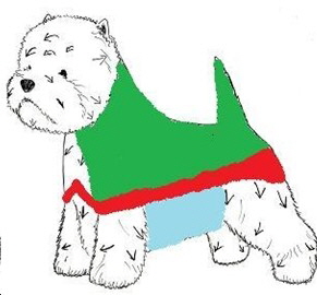 The Skirt (blue area) The Skirt (blue area)