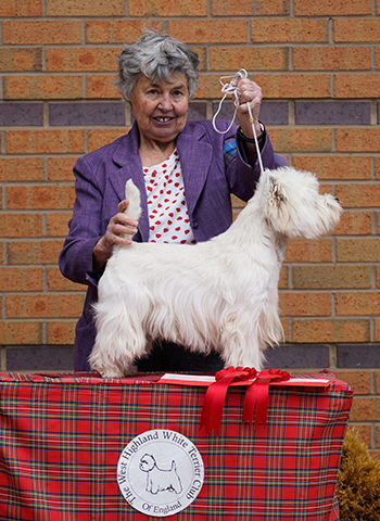 Yearling & Graduate Dog Winner (56 & 55) - Show 1 & 2 (2)