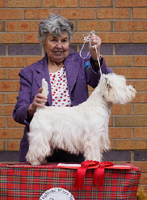 Yearling & Graduate Dog Winner (56 & 55) - Show 1 & 2