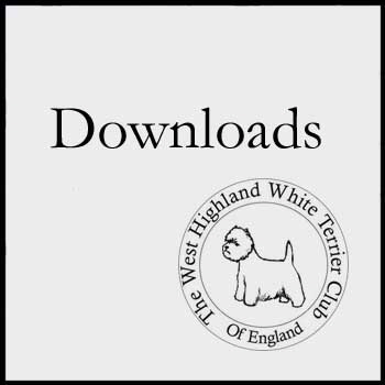 downloadsbigbutton