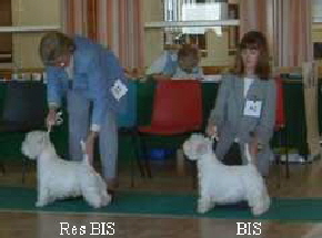 rbis&bis