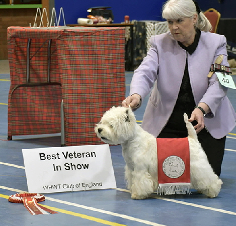 Best Veteran in Show Morning Best Veteran in Show Morning