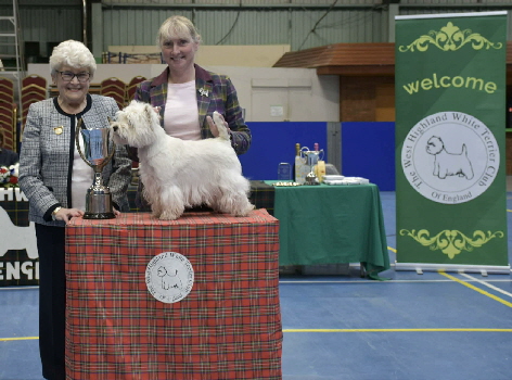 Glenalwyne Sonny Boy Trophy. Dalskairth Glamis Girl 4 Glenalwyne Sonny Boy Trophy. Dalskairth Glamis Girl 4
